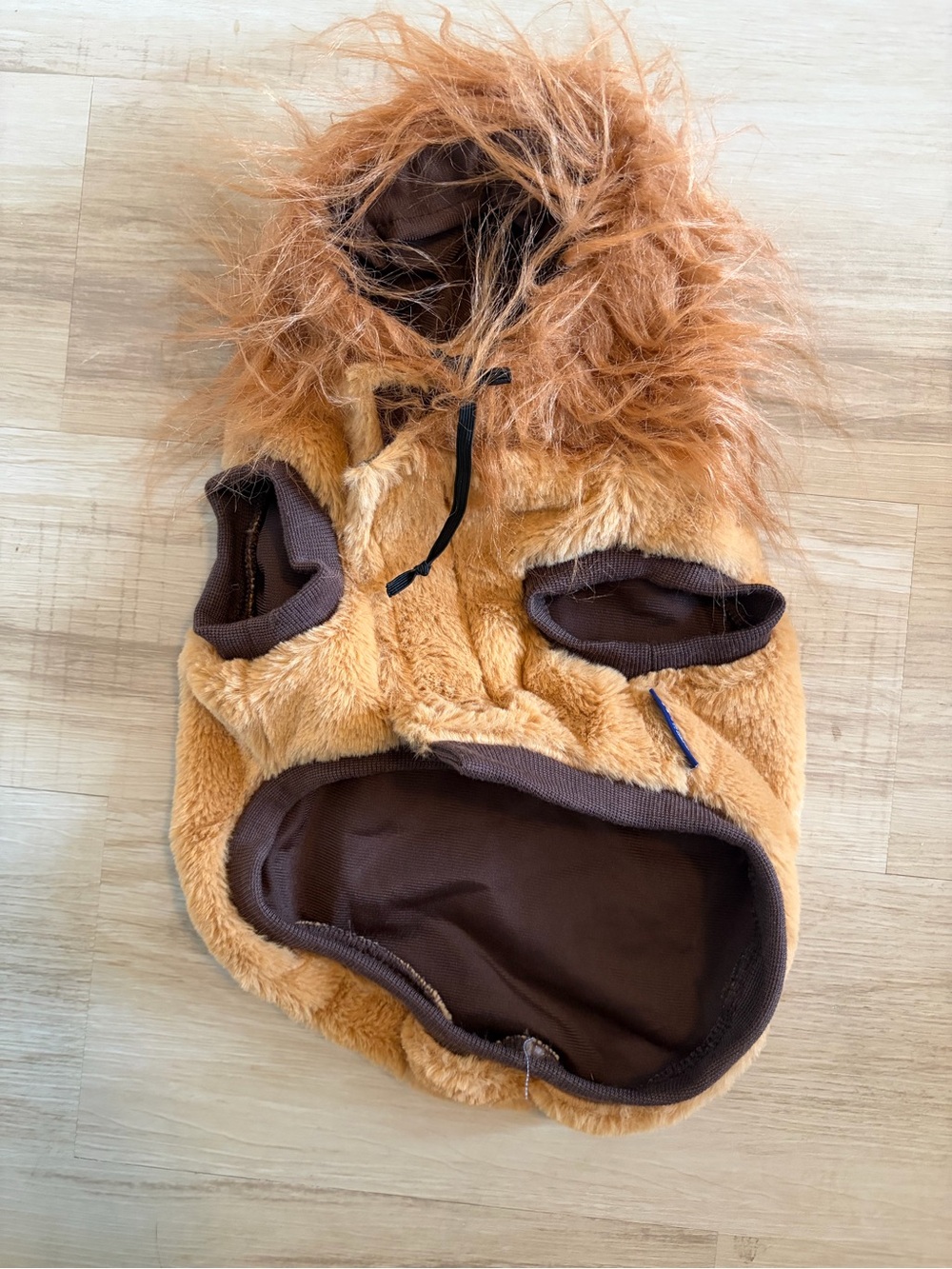 Frisco by Chewy Lion Love Costume Small